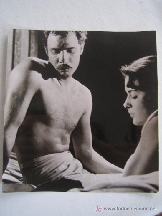 Cine: Viva zapata - marlon brando - jean peters  - elia kazan - foto original del estreno