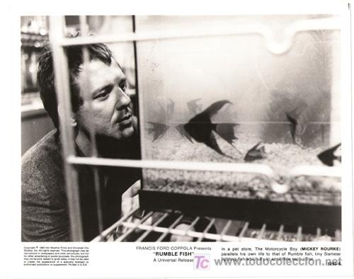 Kino: FCJ 2135 MICKEY ROURKE LA LEY DE LA CALLE COPPOLA FOTO ORIGINAL B/N AMERICANA