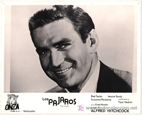 Cine: FCJ 2420d ROD TAYLOR LOS PAJAROS ALFRED HITCHCOCK FOTO ORIGINAL B/N ESPA&Ntilde;OLA
