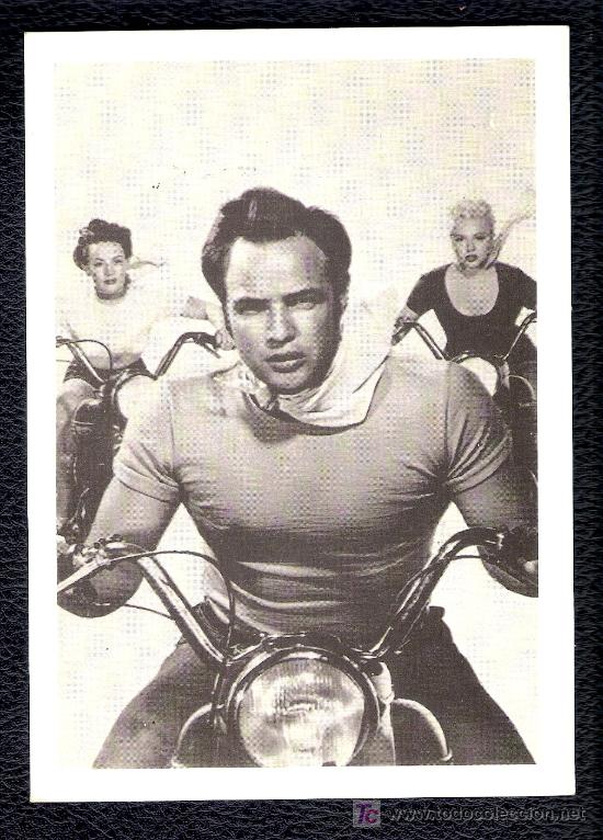 Cine: POSTAL DE MARLON BRANDO - AMERICAN POSTCARD