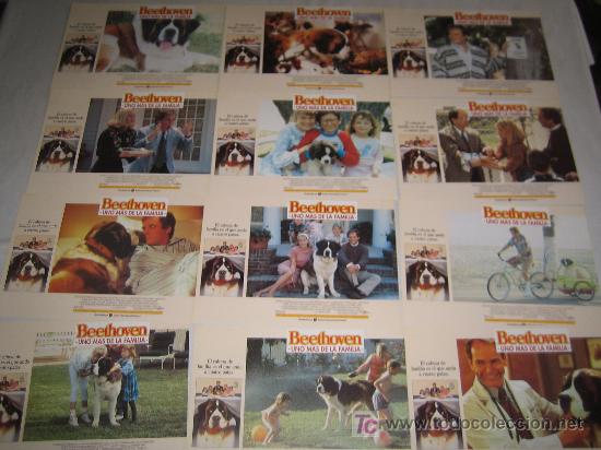 Cine: beethoven uno mas de la familia - coleccion 12 fotocromos del estreno