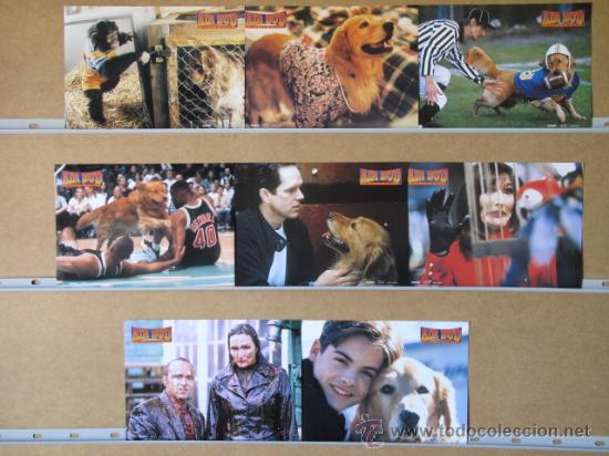 Cinema: AIR BUD