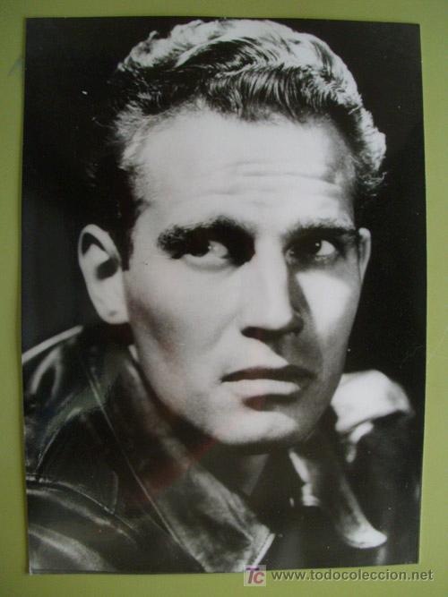 Cine: Foto : CHARLTON HESTON. 17x12 cm