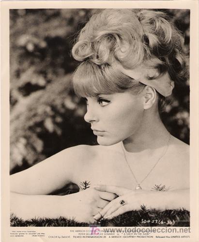 Cin&eacute;ma: FCJ 4689 ELKE SOMMER EL NUEVO CASO DEL INSPECTOR CLOUSEAU FOTO B/N ORIGINAL AMERICANA