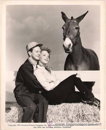 Cine: FCJ 10838d DONALD O'CONNOR PIPER LAURIE FRANCIS EN LAS CARRERAS FOTO ORIGINAL B/N AMERICANA