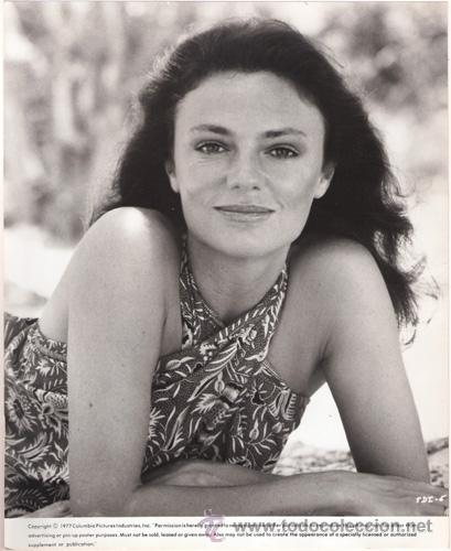 Cine: FCJ 13022d JACQUELINE BISSET FOTO ORIGINAL B/N AMERICANA