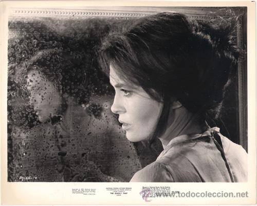 Cin&eacute;ma: FCJ 5536 FAYE DUNAWAY LA MANSION BAJO LOS ARBOLES FOTO B/N ORIGINAL AMERICANA