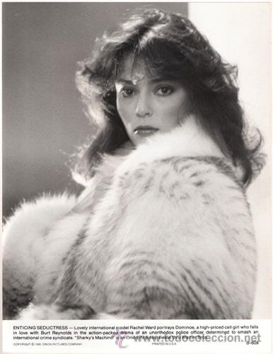 Cine: FCJ 5540 RACHEL WARD LA BRIGADA DE SHARKY FOTO B/N ORIGINAL AMERICANA