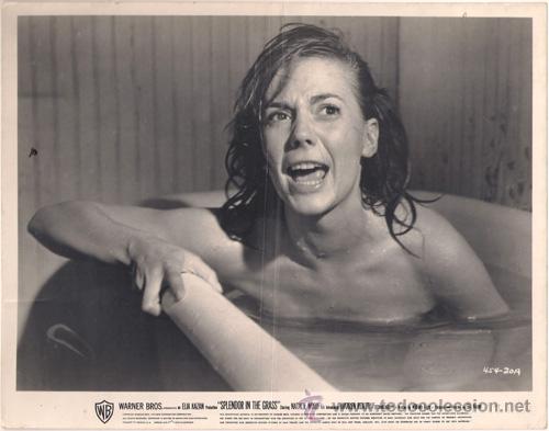 Cin&eacute;ma: FCJ 12897D NATALIE WOOD ESPLENDOR EN LA HIERBA FOTO B/N ORIGINAL AMERICANA