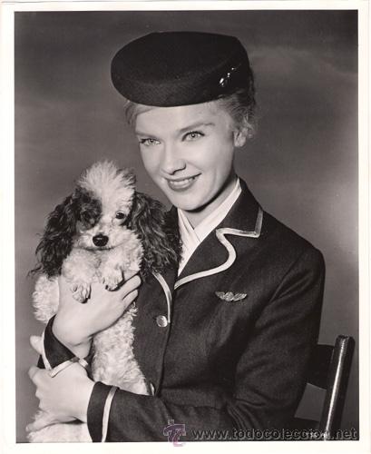 Cin&eacute;ma: FCJ 13255D ANNE FRANCIS FOTO B/N ORIGINAL AMERICANA
