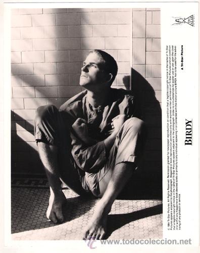 Kino: FCJ 7024 MATTHEW MODINE BIRDY FOTO B/N ORIGINAL AMERICANA