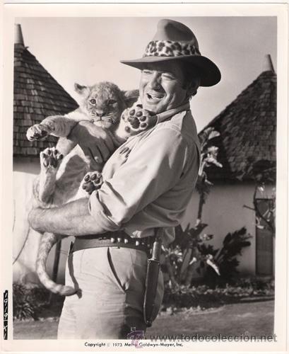 Kino: FCJ 11670D ROD TAYLOR TRADER HORN FOTO B/N ORIGINAL AMERICANA