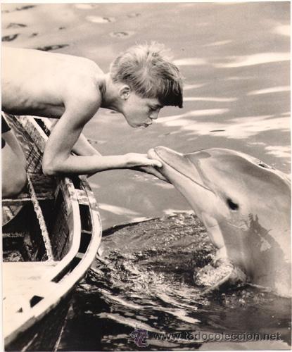 Cin&eacute;ma: FCJ 7486 LUKE HALPIN MI AMIGO FLIPPER FOTO B/N ORIGINAL AMERICANA
