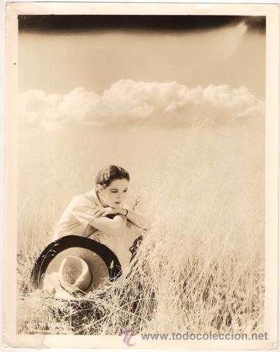 Cine: F28276D EVELYN VENABLE FOTO B/N ORIGINAL AMERICANA