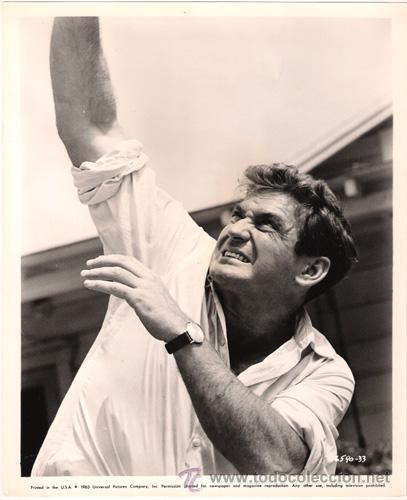 Cine: FCJ 10898D ROD TAYLOR LOS PAJAROS ALFRED HITCHCOCK FOTO B/N ORIGINAL AMERICANA