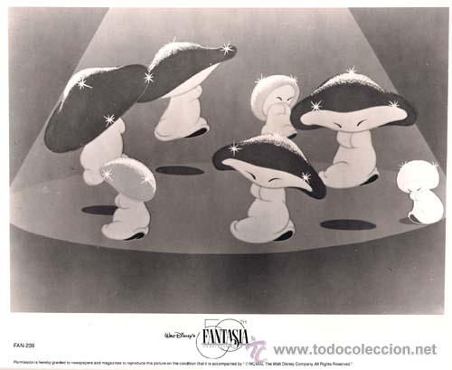 Cin&eacute;ma: F5291 FANTASIA 50 ANIVERSARIO WALT DISNEY FOTO B/N ORIGINAL AMERICANA