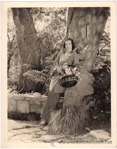 Cinema: F28262D KITTY CARLISLE FOTO B/N ORIGINAL AMERICANA