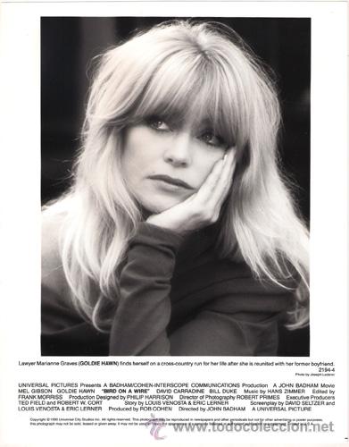 Kino: FCJ 8638 GOLDIE HAWN DOS P&Aacute;JAROS A TIRO FOTO B/N ORIGINAL AMERICANA