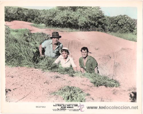 Cinema: F11106D CORNEL WILDE DONNA REED MAS ALLA DE MOMBASA FOTO ORIGINAL COLOREADA AMERICANA