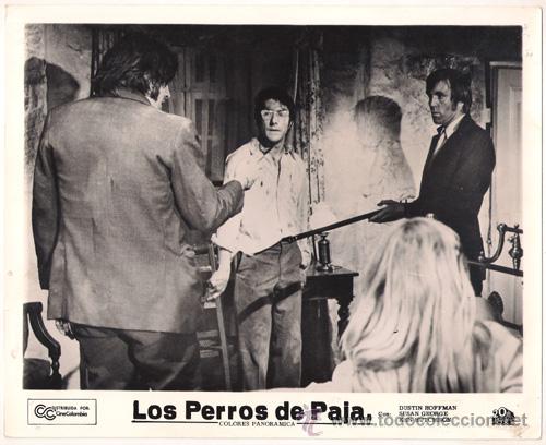Cinema: F6514 DUSTIN HOFFMAN PERROS DE PAJA SAM PECKINPAH FOTO B/N ORIGINAL COLOMBIANA