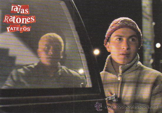 Kino: Ratas, ratones y rateros