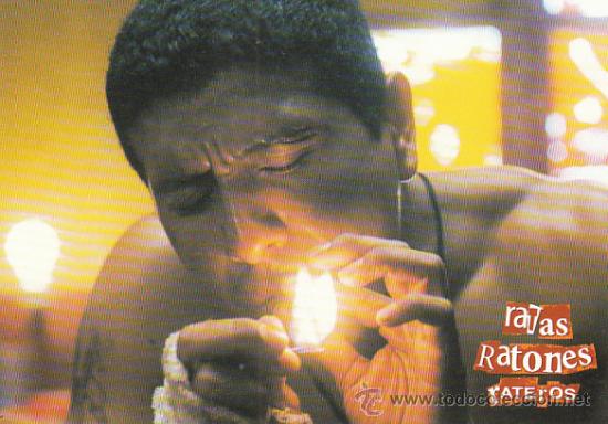 Kino: Ratas, ratones y rateros