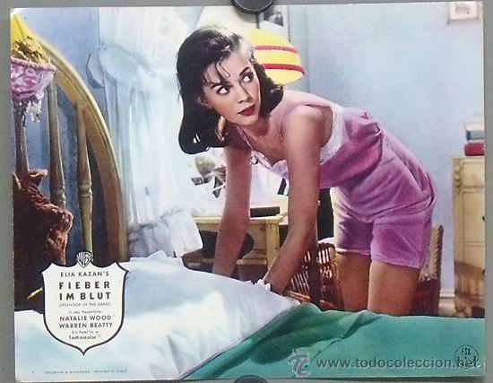 Cinema: OS85 ESPLENDOR EN LA YERBA NATALIE WOOD FOTOCROMO ORIGINAL ALEMAN