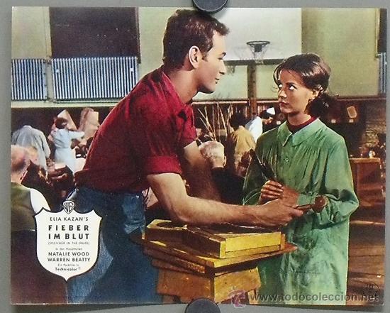 Cinema: OS87 ESPLENDOR EN LA YERBA NATALIE WOOD FOTOCROMO ORIGINAL ALEMAN