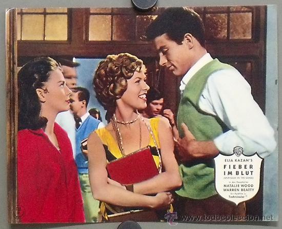 Cinema: OS89 ESPLENDOR EN LA YERBA NATALIE WOOD WARREN BEATTY FOTOCROMO ORIGINAL ALEMAN