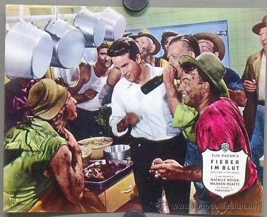 Cinema: OS90 ESPLENDOR EN LA YERBA WARREN BEATTY FOTOCROMO ORIGINAL ALEMAN