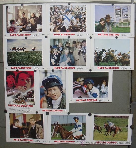 Cinema: OT07 RETO AL DESTINO JOHN HURT CARRERAS DE CABALLOS SET COMPLETO 12 FOTOCROMOS ORIGINAL ESTRENO