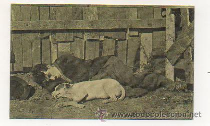 Cine: CHARLOT VIDA DE PERRO. (SERIE 9, N&ordm; 3).  CHOCOLATE AMATLLER.