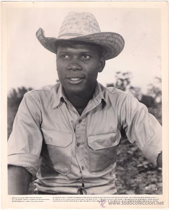 Cinema: F8221 SIDNEY POITIER LOS LIRIOS DEL VALLE FOTO B/N ORIGINAL AMERICANA