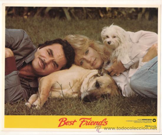 Kino: FCJ 10269 AMIGOS MUY INTIMOS BURT REYNOLDS GOLDIE HAWN PERROS FOTOCROMO ORIGINAL AMERICANO