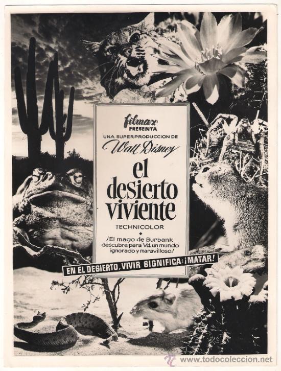 Cinema: F9032 EL DESIERTO VIVIENTE WALT DISNEY FOTO ORIGINAL B/N ESPA&Ntilde;OLA