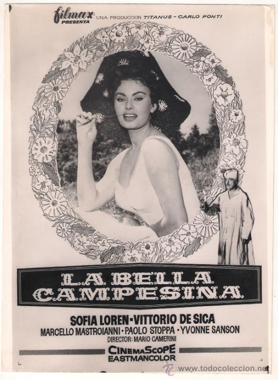 Cine: F9036 LA BELLA CAMPESINA SOFIA LOREN VITTORIO DE SICA FOTO ORIGINAL B/N ESPA&Ntilde;OLA