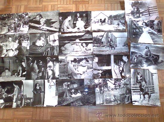 Cin&eacute;ma: UN EXTRA&Ntilde;O A MI PUERTA. 20 FOTOS 18X24. MACDONALD CAREY,PATRICIA MEDINA