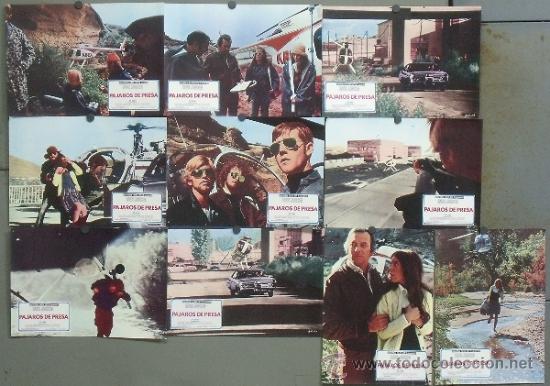Cinema: PJ91 PAJAROS DE PRESA DAVID JANSSEN RALPH MEEKER SET 10 FOTOCROMOS ORIGINAL ESTRENO