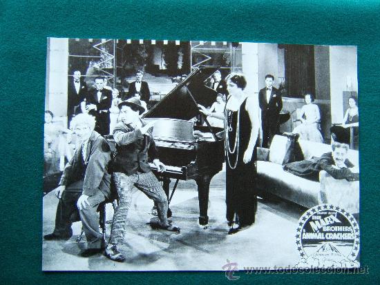 Cine: EL CONFLICTO DE LOS MARX-ANIMAL CRACKERS-HERMANOS-37x27 CM-THE MARX BROTHERS-GROUCHO-CHICO-HARPO-80?