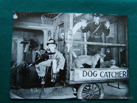Cine: PLUMAS DE CABALLO-HERMANOS MARX-HARPO-PERFECTA FOTOGRAFIA DE 37x27 CM-DOG CATCHER-1980?.