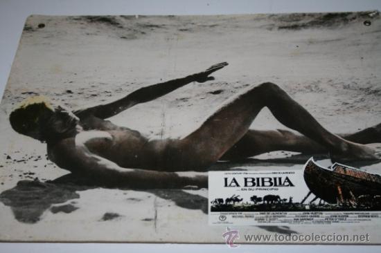 Cine: FOTOCROMO EN CARTON DURO - LA BIBLIA