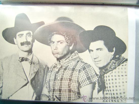 Cine: HERMANOS MARX - GROUCHO, HARPO Y CHICO - FOTO CARTULINA - 30 X 22 CM. - 1970/1980?