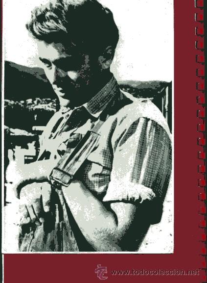 Cine: 01259  FOTOGRAFIA JAMES  DEAN  17,5x 27 cm