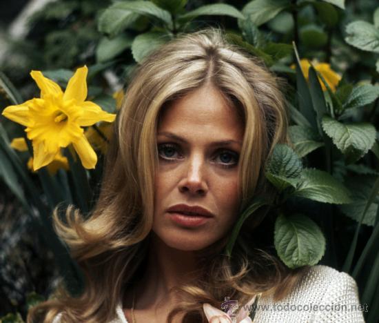Cine: BRITT EKLAND FOTO ( INMEJORABLE CALIDAD) MEDIDAS 20X30 APROXIMADAMENTE