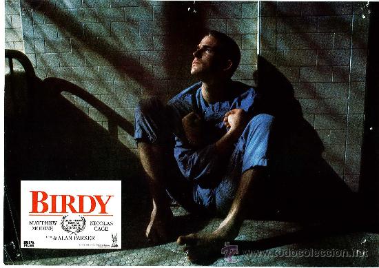 Cine: Juego de 12 fotocromos de la pelicula Birdy dirigida por Alan Parker Matthew Modine y Nicolas Cage