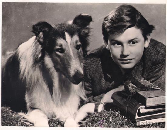 Kino: F26579D LASSIE RODDY MCDOWALL LA CADENA INVISIBLE FOTO B/N ORIGINAL ESPA&Ntilde;OLA