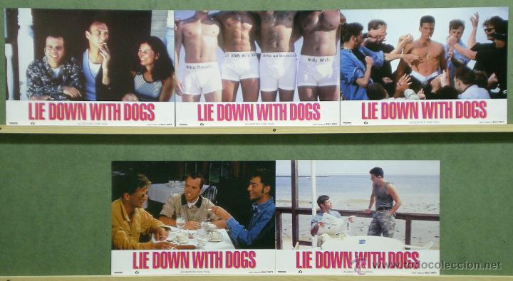 Cine: QG39d LIE DOWN WITH DOGS WALLY WHITE GAY SET COMPLETO 5 FOTOCROMOS ORIGINAL ESTRENO