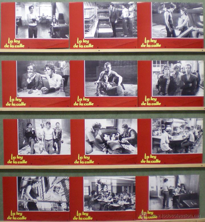 Cinema: QG78 LA LEY DE LA CALLE rumble fish MATT DILLON COPPOLA SET COMPLETO 12 FOTOCROMOS ORIGINAL ESTRENO