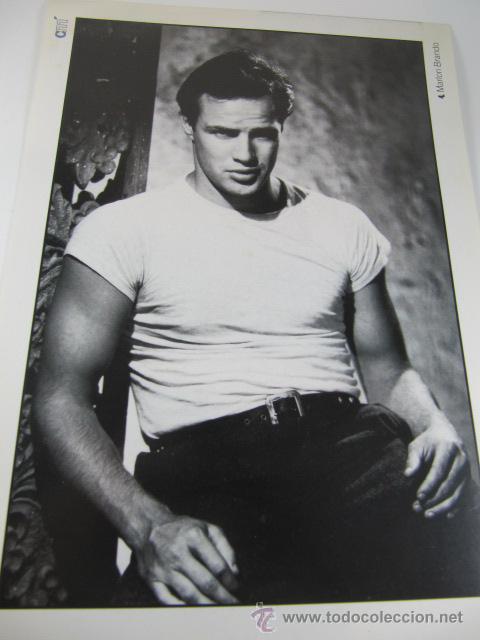 Cine: POSTAL TAMA&Ntilde;O A4 MARLON BRANDO, CON BIOGRAFIA Y FILMOGRAFIA AL DORSO, CINEMANIA.