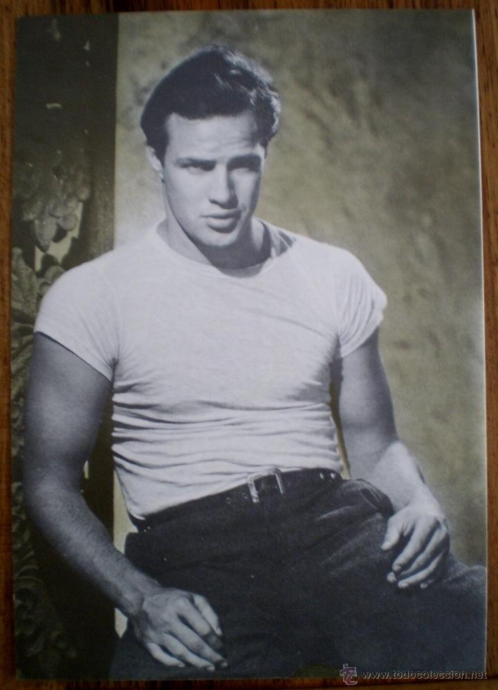 Cine: MARLON BRANDO - UN TRANVIA LLAMADO DESEO - POSTAL 10,5X15